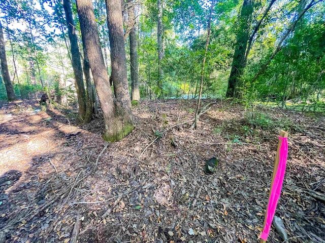 170 W Cir, Vidor, TX 77662 - photo 10