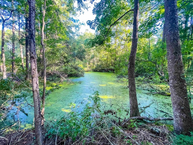 170 W Cir, Vidor, TX 77662 - photo 11