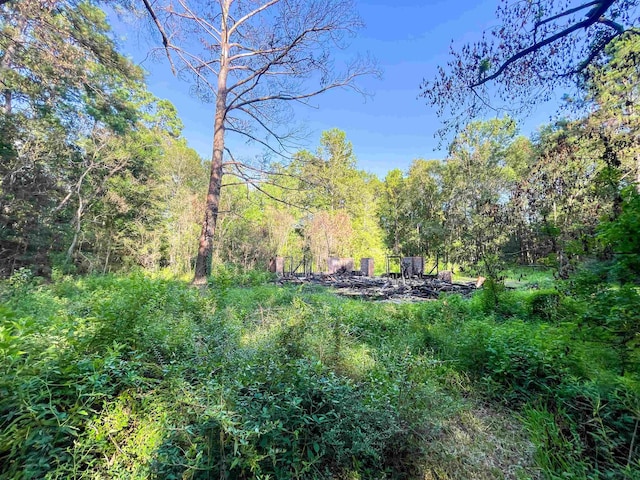 170 W Cir, Vidor, TX 77662 - photo 6