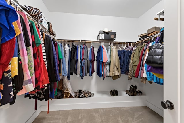 walk in closet featuring carpet floors