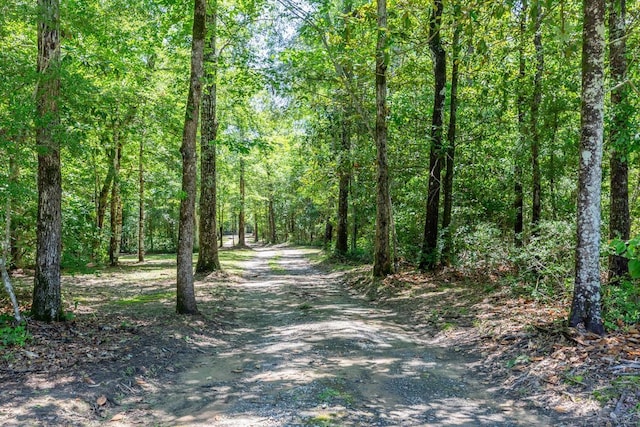 1905 Villa Rd, Kountze, TX 77625 - view of dirt / gravel road featuring a forest view