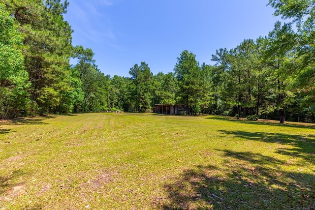 1905 Villa Rd, Kountze, TX 77625 - view of green lawn with a forest view