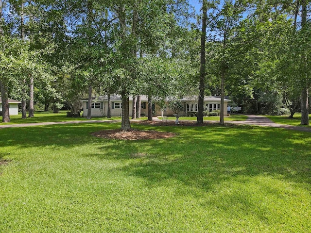 110 Lumberton Dr, Lumberton, TX 77657 - photo 28