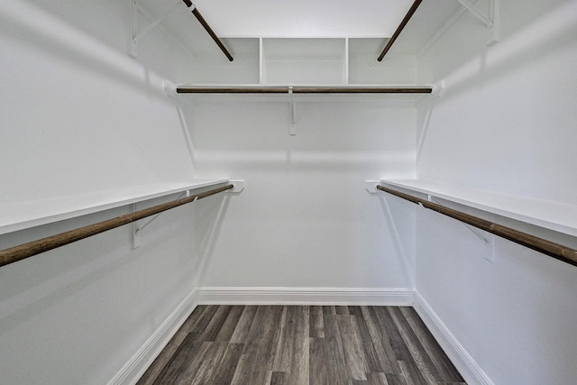 spacious closet with dark hardwood / wood-style flooring