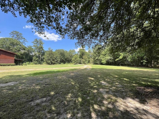 1205 Douglas St, Vidor, TX 77662 - view of grassy yard