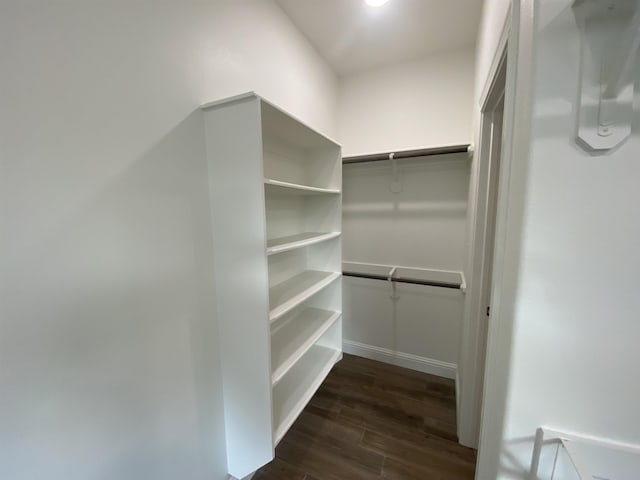 walk in closet featuring dark hardwood / wood-style flooring