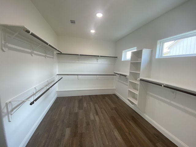 spacious closet with dark wood-type flooring