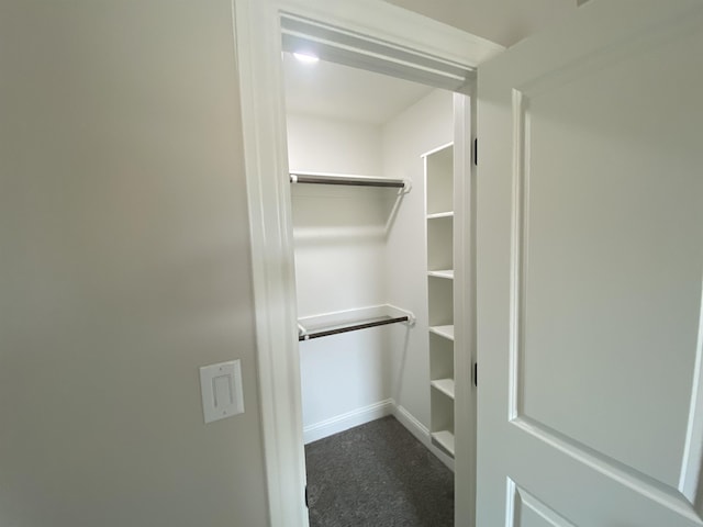 walk in closet featuring dark colored carpet