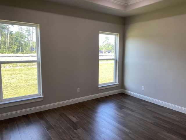 unfurnished room featuring dark hardwood / wood-style flooring, plenty of natural light, and crown molding