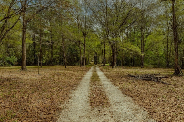 10309 Bussey Rd, Silsbee, TX 77656 - view of road featuring a wooded view
