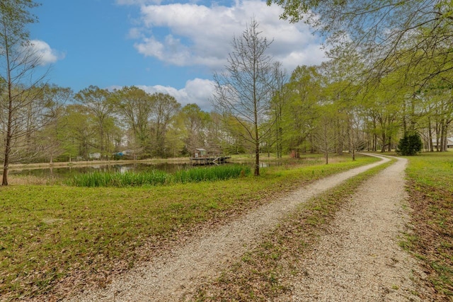 10309 Bussey Rd, Silsbee, TX 77656 - view of road with a water view