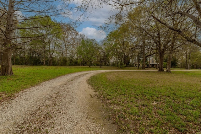 10309 Bussey Rd, Silsbee, TX 77656 - view of dirt / gravel road