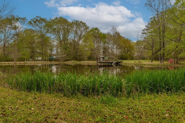 10309 Bussey Rd, Silsbee, TX 77656 - water view with a forest