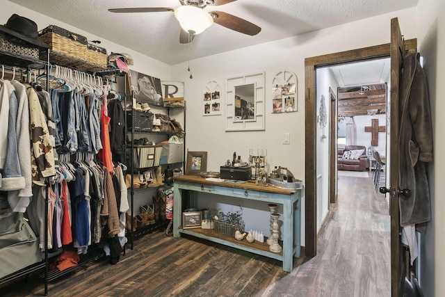 spacious closet featuring ceiling fan and dark wood-type flooring