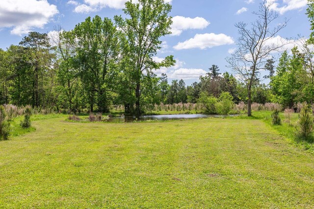 2360 County Road 2071, Hull, TX 77564 - view of yard featuring a water view