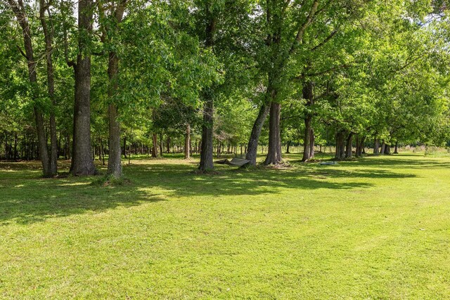 2360 County Road 2071, Hull, TX 77564 - view of yard