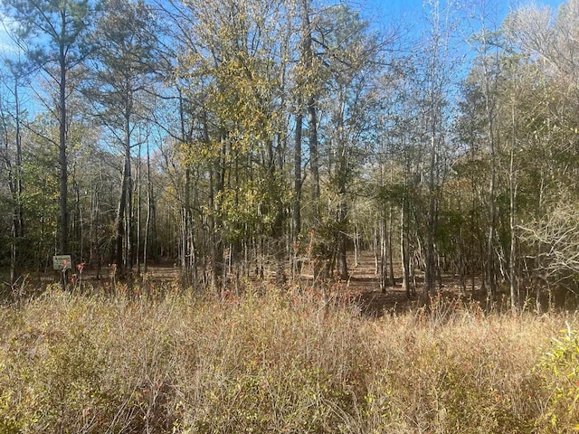 1390 County Road 3061, Kirbyville TX, 75956 land for sale