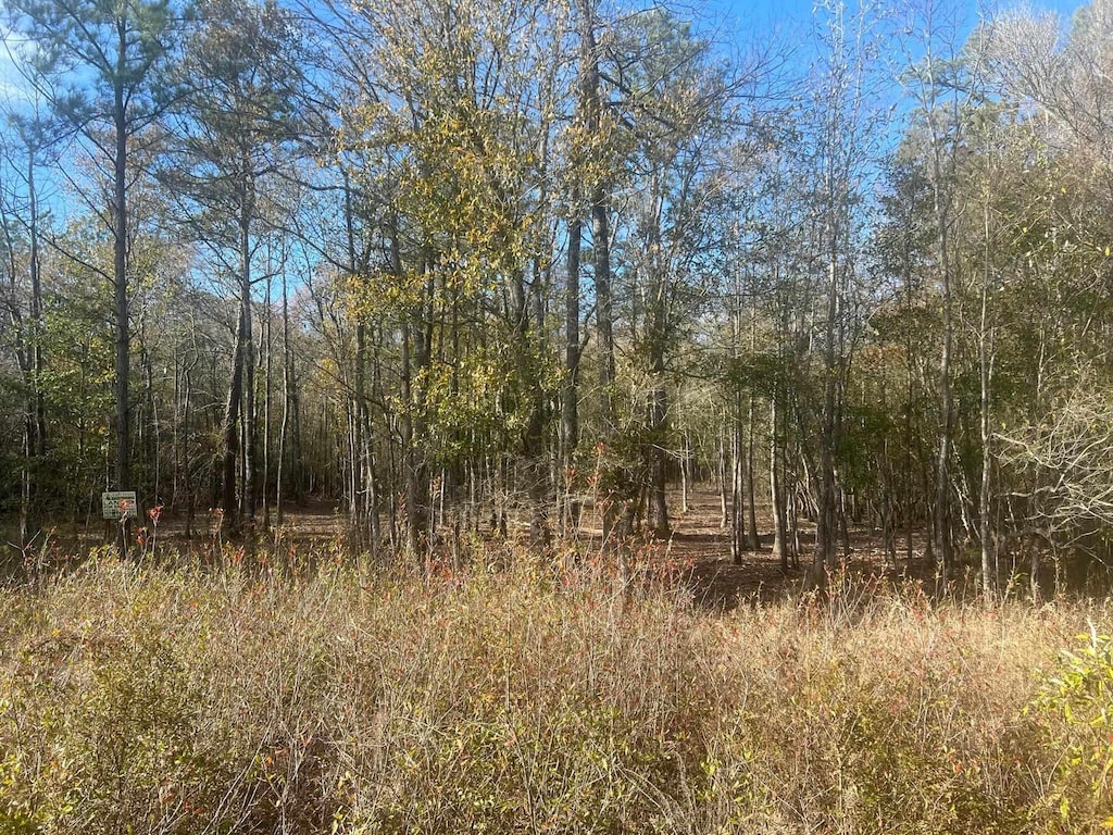 1390 County Road 3061, Kirbyville, TX 75956 - photo 1