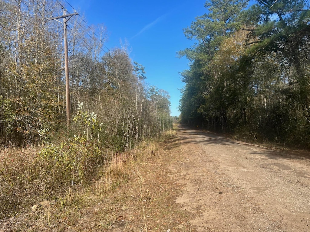 1390 County Road 3061, Kirbyville, TX 75956 - photo 2