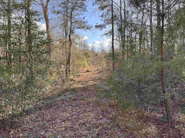 Listing photo 3 for LOT42OF48A Micheal Loop, Lumberton TX 77657