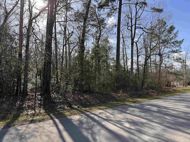 LOT42OF48A Micheal Loop, Lumberton TX, 77657 land for sale