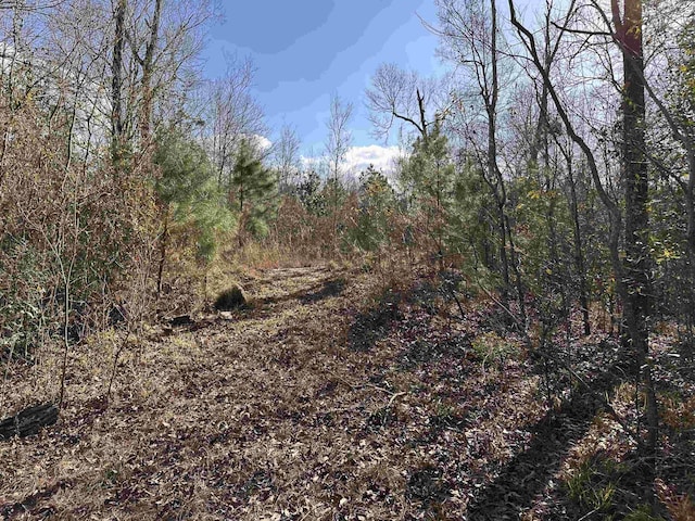 Listing photo 2 for LOT42OF48A Micheal Loop, Lumberton TX 77657