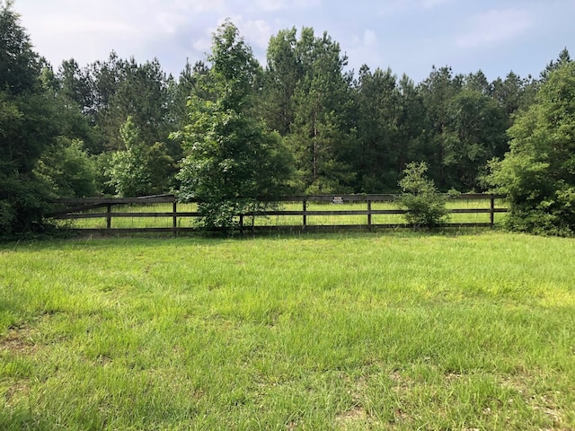 view of yard with a rural view