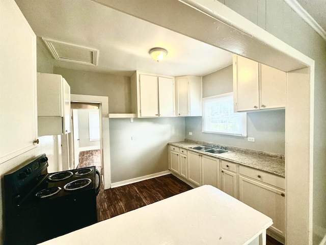 kitchen featuring dark wood-type flooring, sink, and black electric range