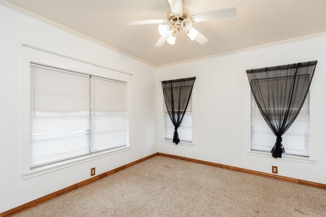 spare room featuring ornamental molding, carpet floors, and ceiling fan