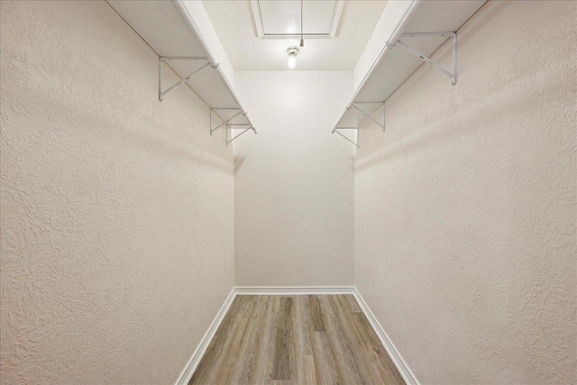 8076 Indian Blanket Dr, Beaumont, TX 77713 - spacious closet with wood finished floors
