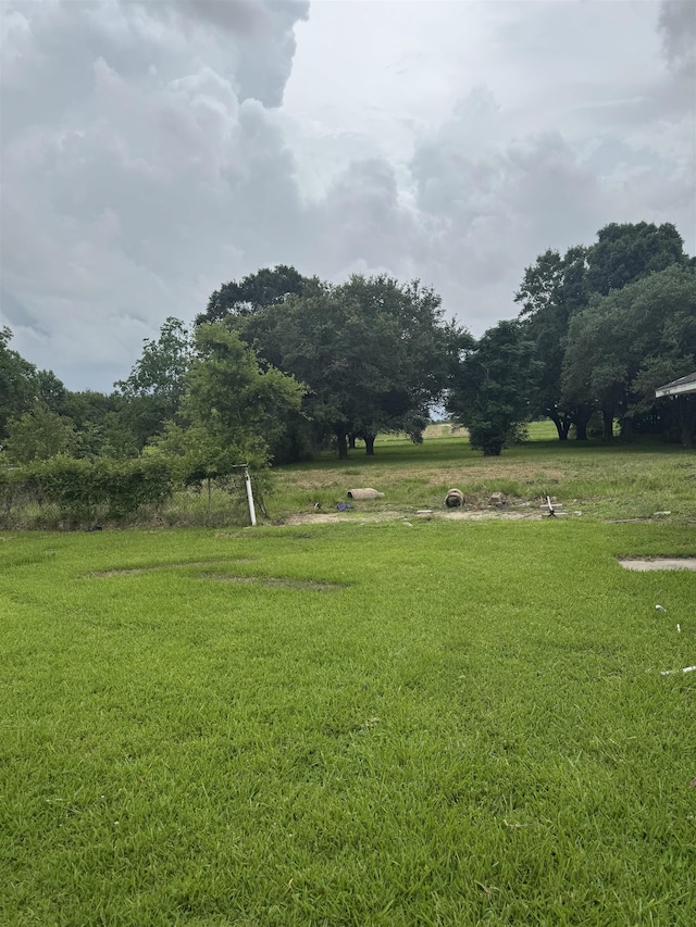 3128 58th St, Port Arthur, TX 77640 - view of green lawn