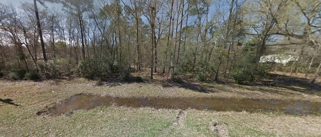 Listing photo 2 for 0000 Murray Jordan Dr, Saratoga TX 77585