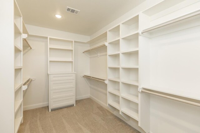 spacious closet with light carpet