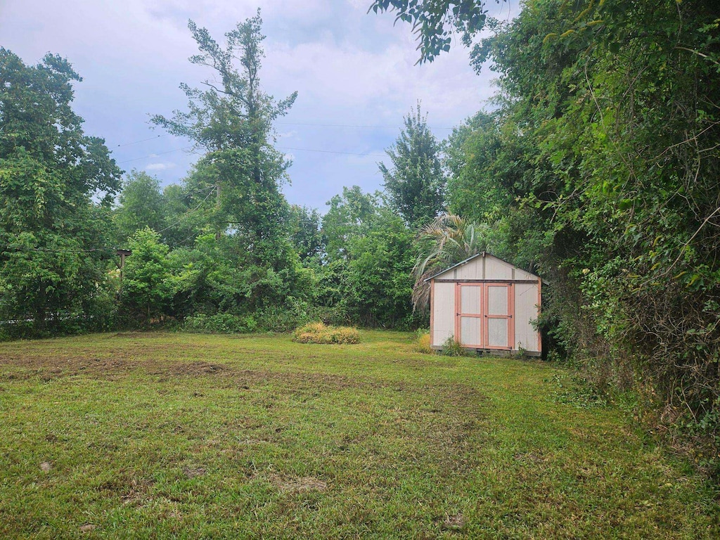 320 Beach, Vidor, TX 77662 - view of green lawn