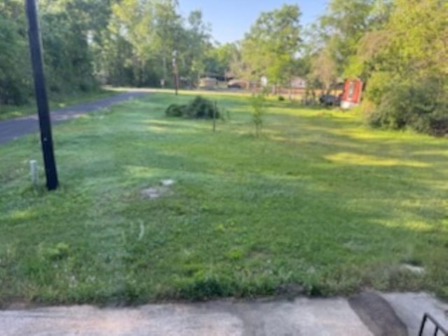 301 W Lavielle, Kirbyville, TX 75956 - view of yard