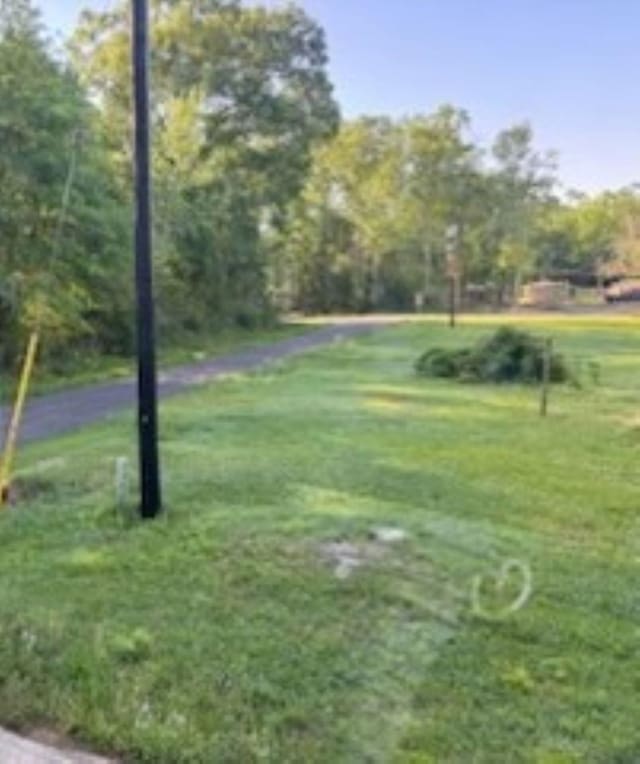 301 W Lavielle, Kirbyville, TX 75956 - view of property's community featuring a yard