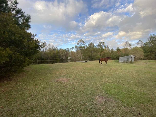 view of yard with a rural view