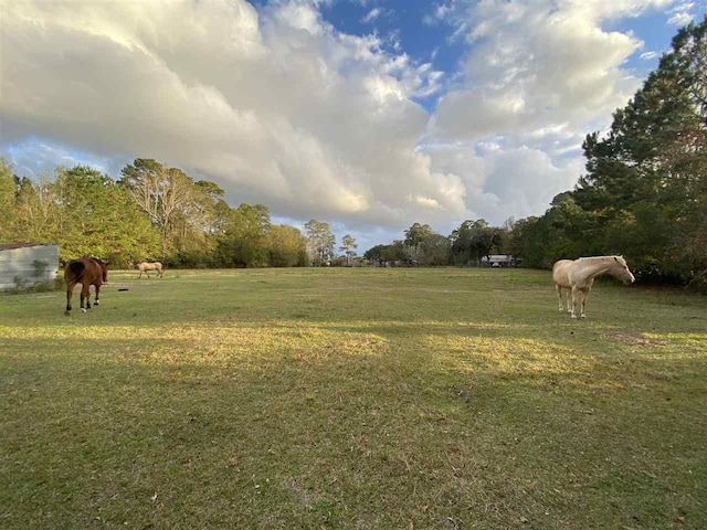 view of yard with a rural view