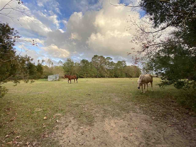 view of yard with a rural view