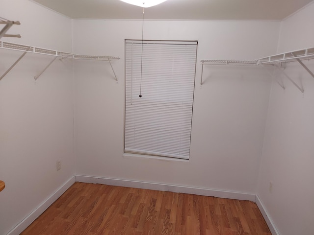 spacious closet featuring hardwood / wood-style flooring