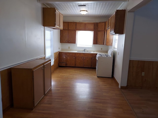 kitchen featuring sink, light hardwood / wood-style floors, and range