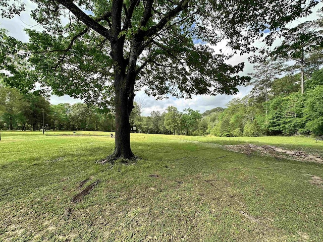 8203 US Highway 190 W, Woodville, TX 75979 - photo 15