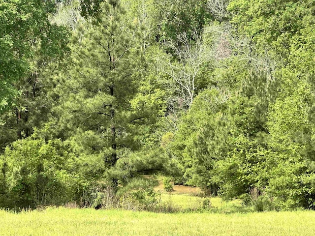 8203 US Highway 190 W, Woodville, TX 75979 - photo 28