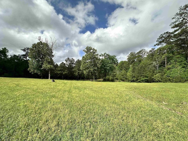 8203 US Highway 190 W, Woodville, TX 75979 - photo 30