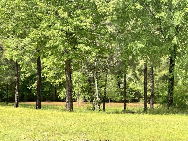 8203 US Highway 190 W, Woodville, TX 75979 - photo 16