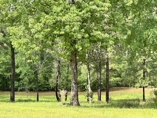 8203 US Highway 190 W, Woodville, TX 75979 - photo 29