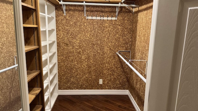 spacious closet with hardwood / wood-style flooring