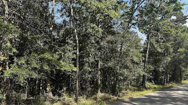 20-B Barrett Rd, Beaumont, TX 77708 - photo 9