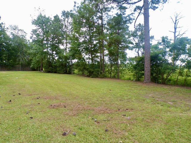 4261 Carlene Dr, Orangefield, TX 77630 - view of grassy yard