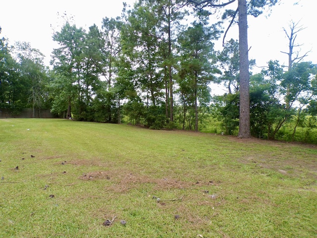 4261 Carlene Dr, Orangefield, TX 77630 - view of green lawn